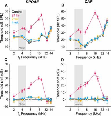 <mark class="highlighted">Noise-Induced Hearing Loss</mark> in Gerbil: Round Window Assays of Synapse Loss